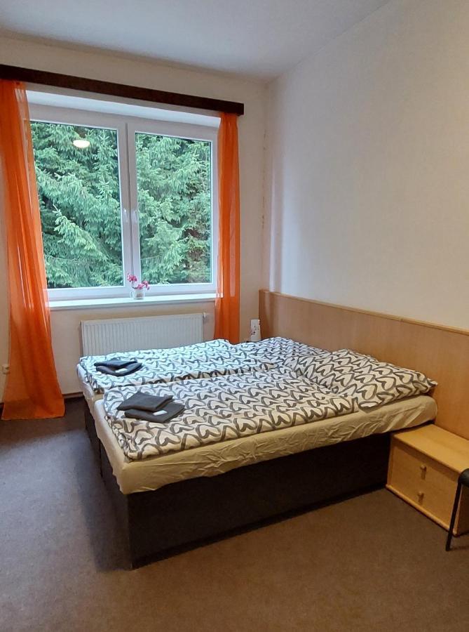 Apartman Novohradky 22 Benesov nad Cernou Exterior photo