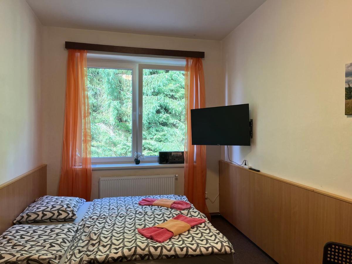 Apartman Novohradky 22 Benesov nad Cernou Exterior photo