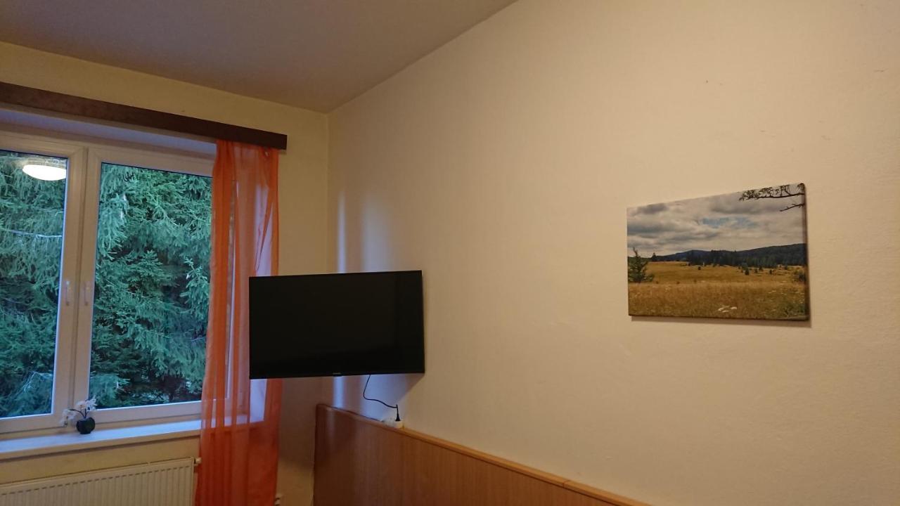Apartman Novohradky 22 Benesov nad Cernou Exterior photo